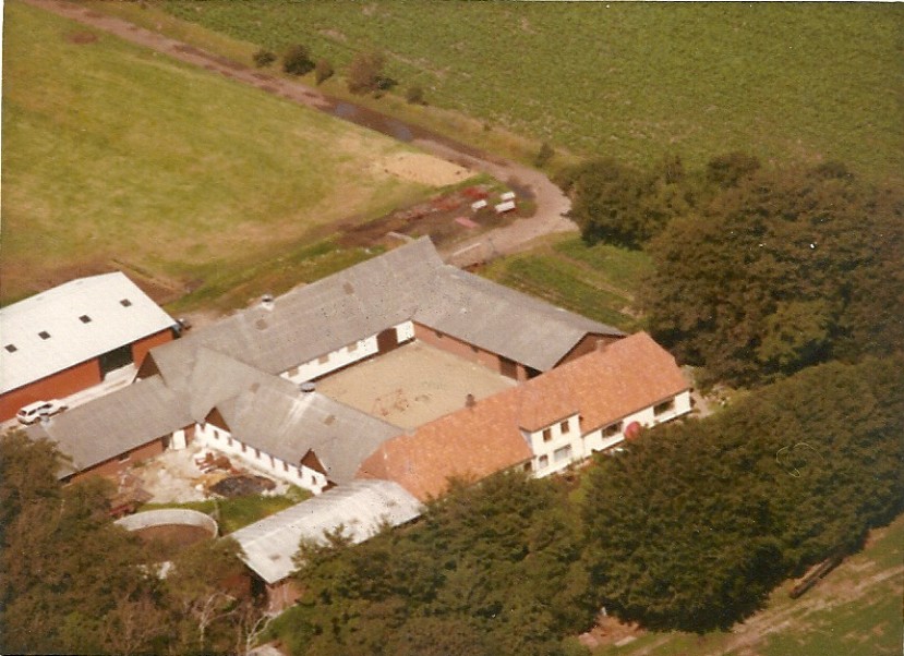 Gårde omkring Gørding - Tangegård 1977